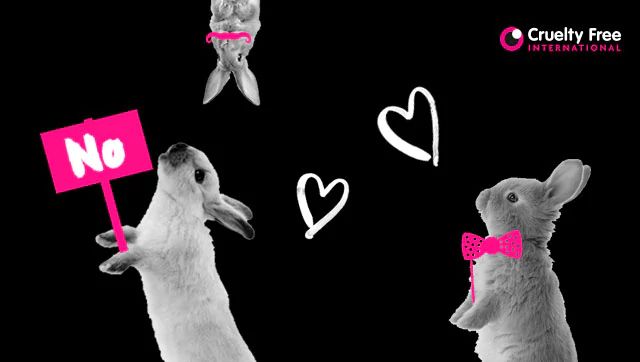 faat-homepage-charity-18